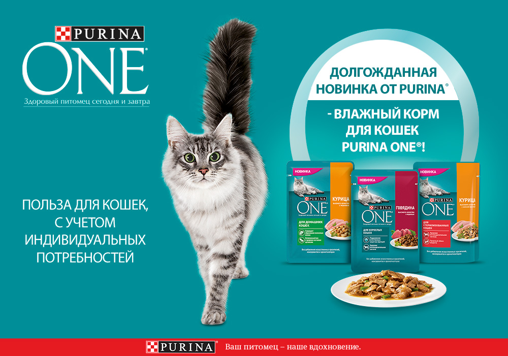 PURINA ONE® - вкус, который полюбит Ваша кошка, здоровье, которого она заслуживает!